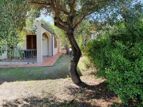 Apartamento La Casa Di Spinosella Agriturismo