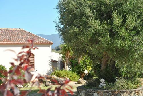 Apartamento La Casa Di Spinosella Agriturismo