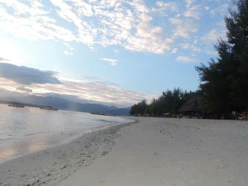 Casus Dream Hotel