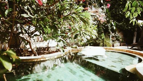 Rumah Kalua Villa