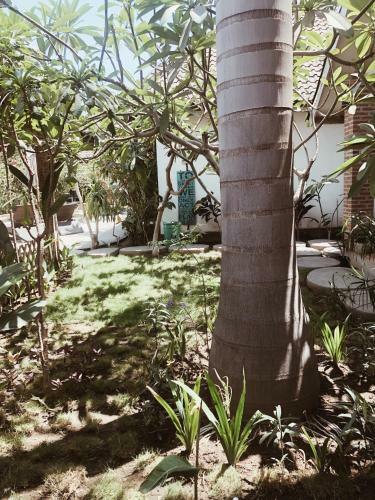 Rumah Kalua Villa