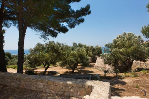 Trullo - Cantoru