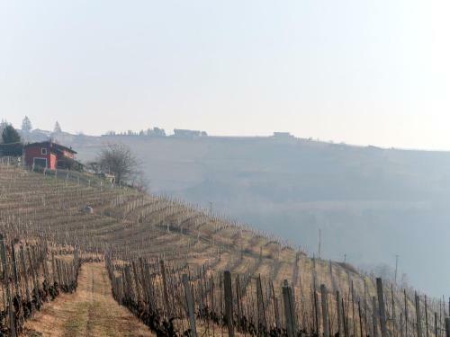 Locazione Turistica Cascina Nervo - Aba160