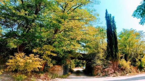 Villa Spoleto Luxury Mill House, Spoleto Centre 10 Mins