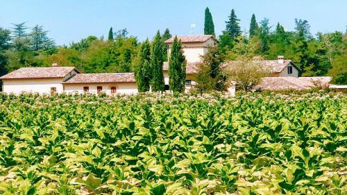Villa Spoleto Luxury Mill House, Spoleto Centre 10 Mins