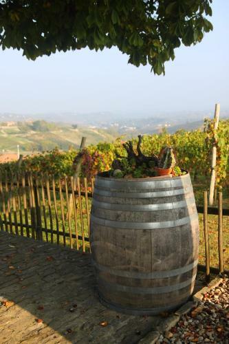 Apartamento Agriturismo Cascina Del Rosone