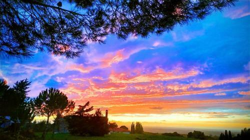 Agroturismo Agriturismo Antico Podere Il Polveraio