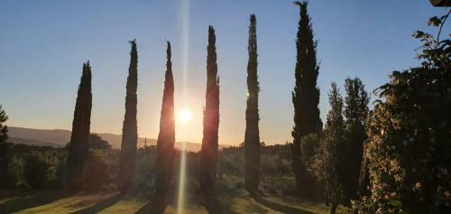 Agroturismo Agriturismo Antico Podere Il Polveraio
