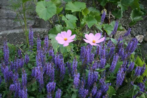 Bed & Breakfast Chalet In Vigna