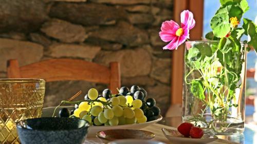 Bed & Breakfast Chalet In Vigna