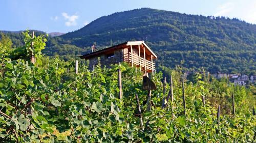 Bed & Breakfast Chalet In Vigna