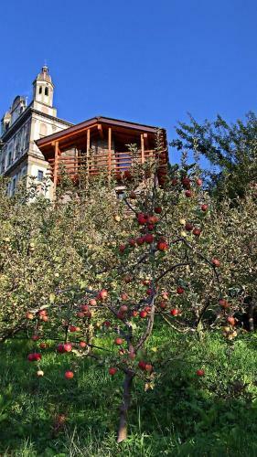 Bed & Breakfast Chalet In Vigna
