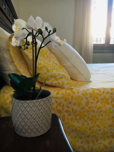 B&B La Rosa Dei Venti