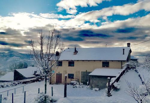 Bed & Breakfast Daina Bianca
