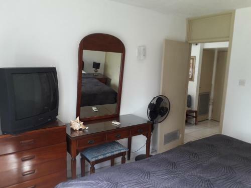 One Bed Room Apartment & One Studio In Ocho Rios