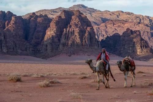 Wadi Rum Desert Heart Camp
