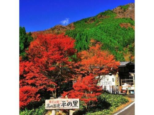 Hotel Sun Ocean - Vacation Stay 84254