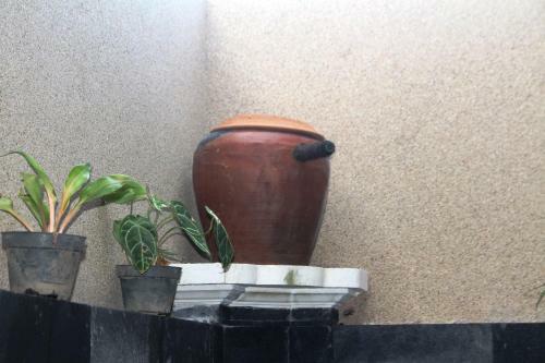Hostal Sudi Guest House