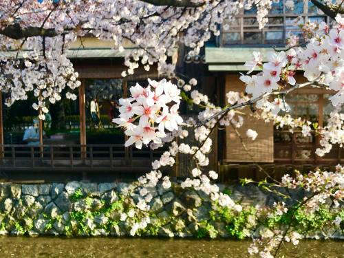 Hostal Guest House Yukari Kyoto