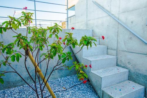 The : Moves -mus�e Villa-