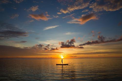 The : Moves -mus�e Villa-