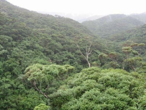 Hostal Condominium de Urmanchu / Vacation Stay 79737