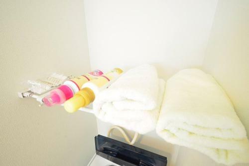Apartamentos Motomachi-haitsu North23jo 302