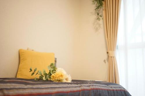 Apartamentos Santos Heim 103