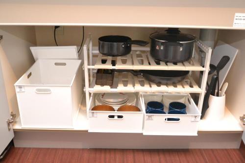 Sapporo Central Apartment P203