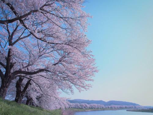 Hotel Grand Bach Sendai