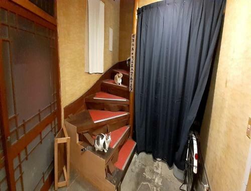 Hostal Tomi - Vacation Stay 10557