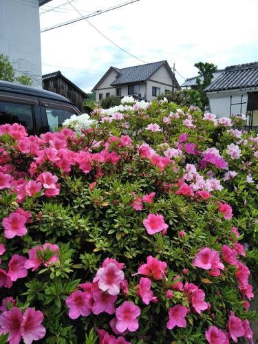 Hostal Guesthouse Yashima