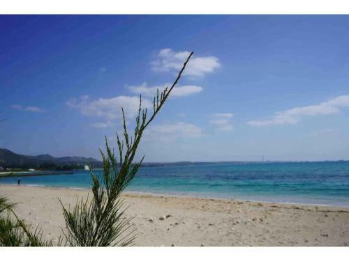 Guest House Yaka - Vacation Stay 25929v