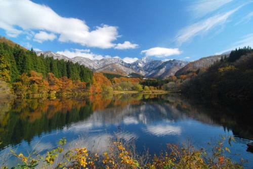 Hostal Angel Resort Yuzawa / Vacation Stay 2121
