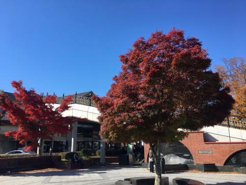 Apartamento Angel Resort Karuizawa