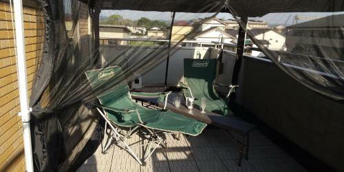 Hostal Guest House Mulberry - Vacation Stay 9580