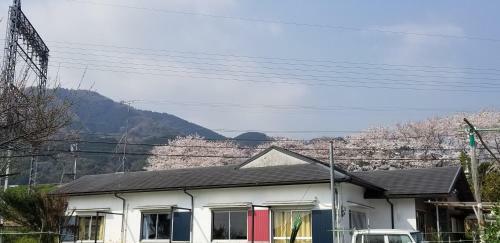Kafuu Guesthouse+cafe