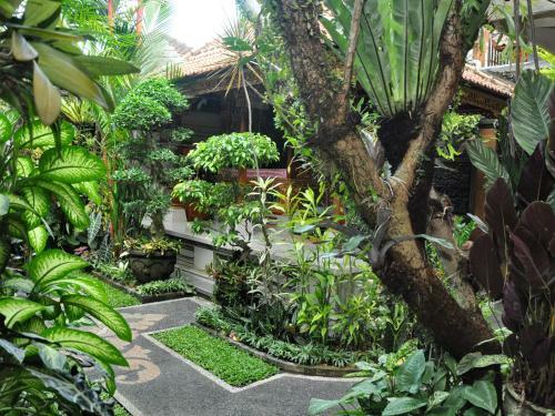Hostal Indra Homestay