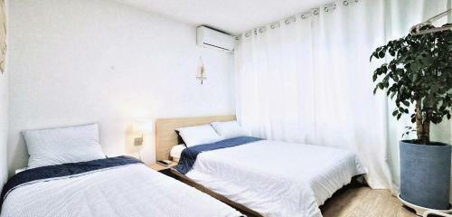 Hostal Zibro Y