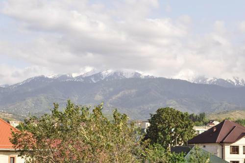 Mountain View Hotel