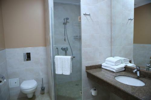 Hotel Aner