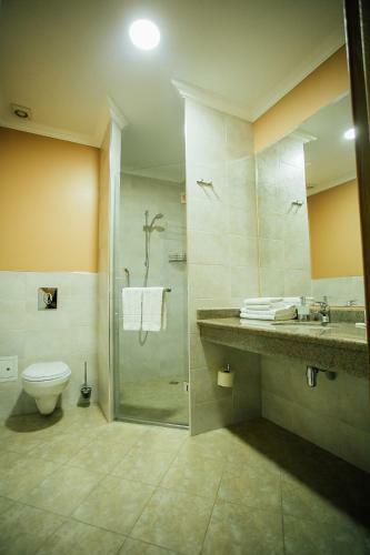 Hotel Aner