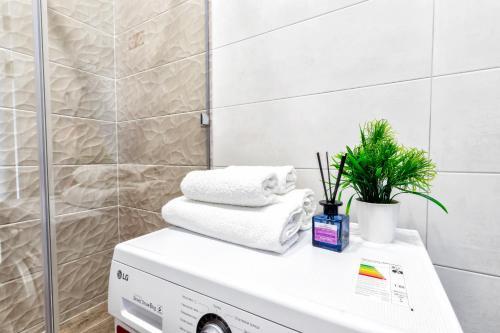 Raisson Aparthotel Tokyo D86