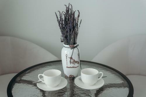 7 Boutique Hotel
