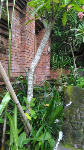 Hostal Arjana Bungalows 2