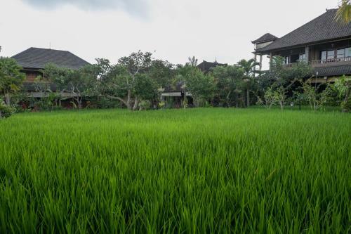 Hostal Bliss Ubud Spa & Bungalow