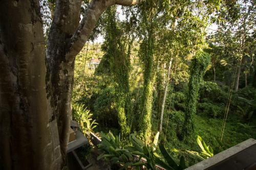 Labak River Hotel