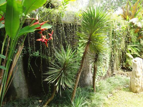 Labak River Hotel
