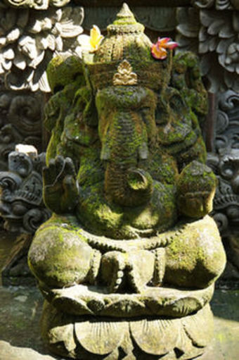 Hostal Ubud Dream