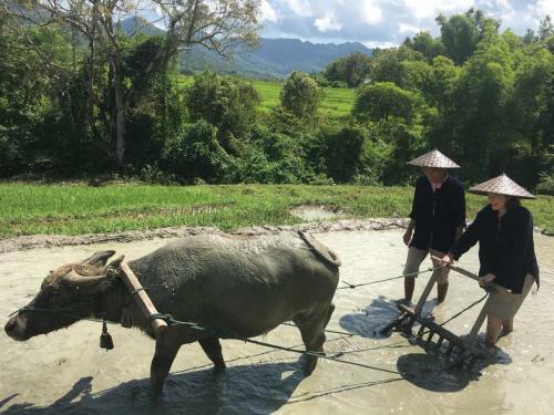 Hotel Nakhaohorm Farming Resort